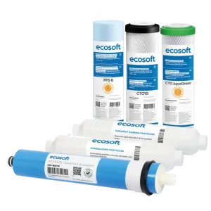 Комплект картриджей Ecosoft Absolute «12 месяцев» (CHV6ECOABS)